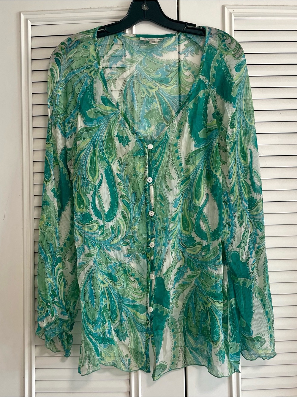 Cottagecore Sheer Green Paisley Button-Front Women's Top